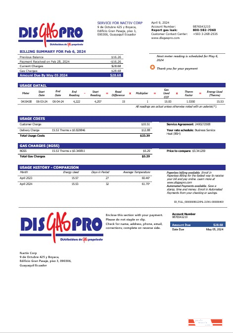 Ecuador Disgaspro gas business utility bill template in Word and pdf formats
